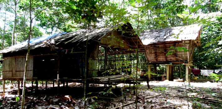 Indonesia &ndash; Il Borneo Orientale fra natura, avventura e popolazioni tribali   3